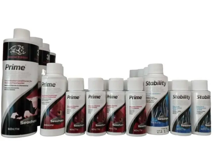 WhatsApp Image 2023-07-05 at 18.34.24