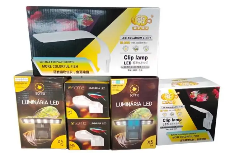 WhatsApp Image 2023-07-05 at 18.48.22