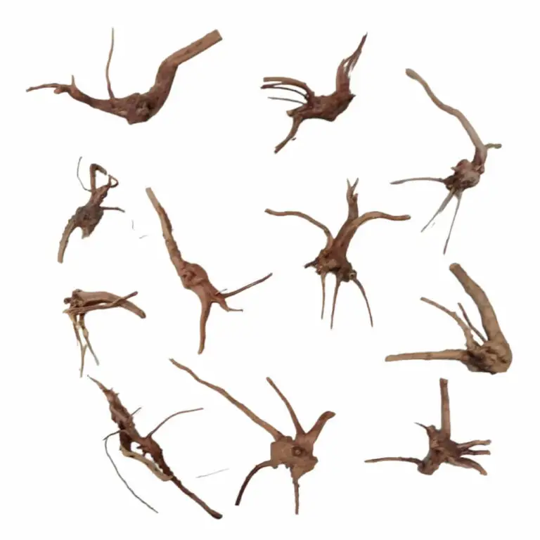 WhatsApp Image 2023-07-05 at 19.30.36