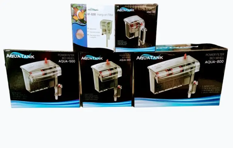 WhatsApp Image 2023-07-05 at 19.50.36 (1)